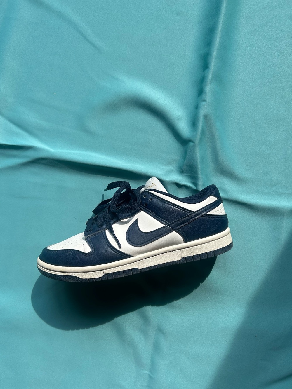 Nike Navy Dunks